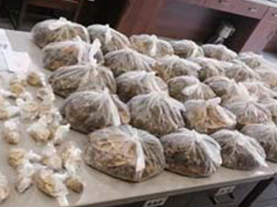 郑州治疗肿瘤医馆哪家好