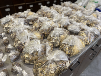 警惕不典型胸痛 预防食道肿瘤的早期发现